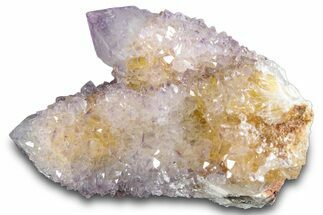 Cactus Quartz (Amethyst) Crystal Cluster - South Africa #281906