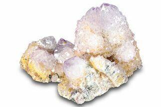 Cactus Quartz (Amethyst) Crystal Cluster - South Africa #281916