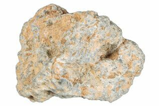 Bechar 003 Meteorites For Sale