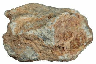 Lunar Meteorite ( g) - Bechar #281674