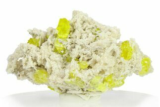Striking Sulfur Crystals on Fluorescent Aragonite - Italy #282568