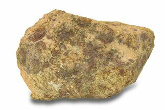 Gold Basin Chondrite Meteorite ( g) - Arizona #282751