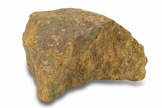 Gold Basin Chondrite Meteorite ( g) - Arizona #282768