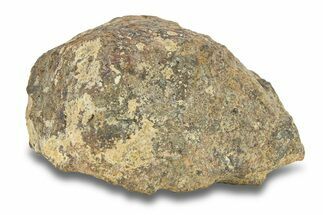 Gold Basin Chondrite Meteorite ( g) - Arizona #282785