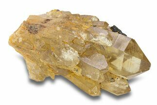 Smoky Citrine Crystal Cluster - Lwena, Congo #282880