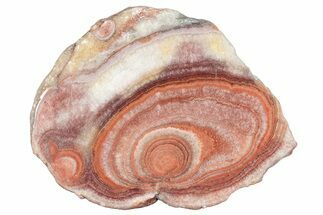 Polished Potato Agate Slice - England #283057