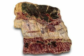 Polished Cherry Creek Jasper - China #283111