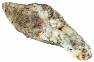 Aubrite Meteorite ( g) - Djoua #283658
