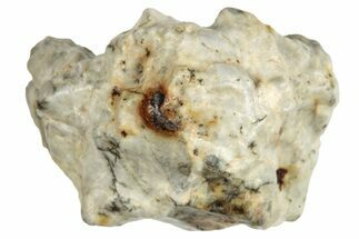 Aubrite Meteorite ( g) - Djoua #283659