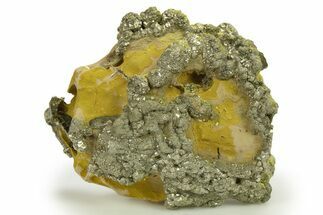 Golden Pyrite on Limonite Clay - Pakistan #283727