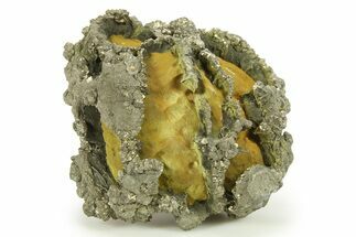 Golden Pyrite on Limonite Clay - Pakistan #283735