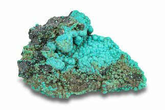 Bright Teal Botryoidal Chrysocolla - Planet Mine, Arizona #283882