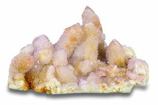 Cactus Quartz (Amethyst) Crystal Cluster - South Africa #283980