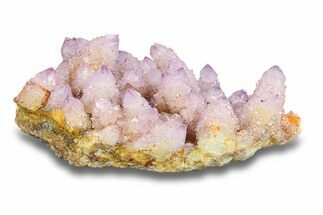 Spectacular Cactus Amethyst Crystal Cluster - South Africa #283984