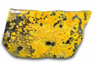 Very Vibrant, Polished Bumblebee Jasper Section #284201