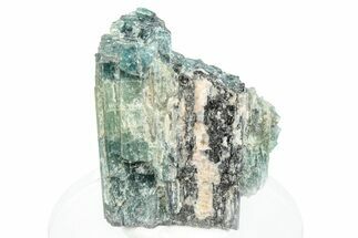 Colorful Tourmaline (Elbaite) Crystal - Leduc Mine, Quebec #284322