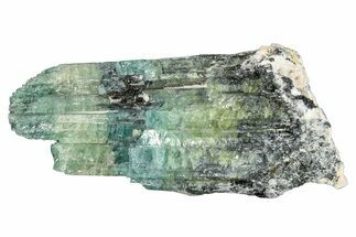 Colorful Tourmaline (Elbaite) Crystal - Leduc Mine, Quebec #284365