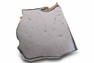 Gebel Kamil Iron Meteorite Slice ( g) - Egypt #284524