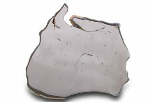 Gebel Kamil Meteorites For Sale