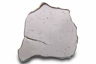 Gebel Kamil Iron Meteorite Slice ( g) - Egypt #284542