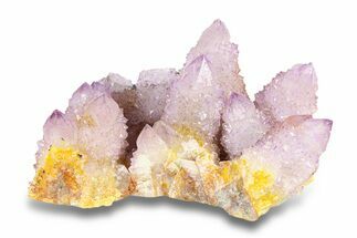 Spectacular Cactus Amethyst Crystal Cluster - South Africa #284702