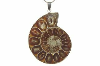 Fossil Ammonite Pendant - Million Years Old #284886