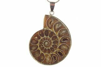 Fossil Ammonite Pendant - Million Years Old #284889