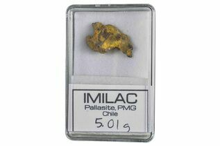 Imilac Pallasites For Sale