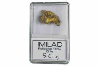 Pallasite Meteorite ( g) Fragment - Imilac #285898