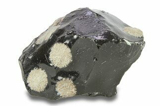 Snowflake Obsidian Section - Utah #285922