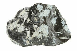 Snowflake Obsidian Section - Utah #285927