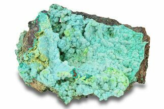 Striking Green Conichalcite on Chrysocolla - Namibia #285064