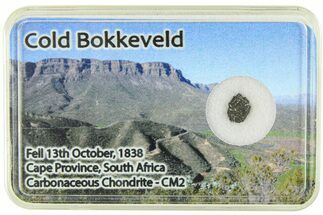 Carbonaceous Chondrite Fragment ( g) - Cold Bokkeveld #285974