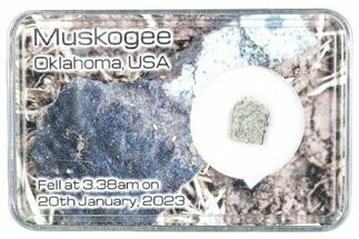 Chondrite Meteorite Hammer Stone ( g) - Muskogee #286105