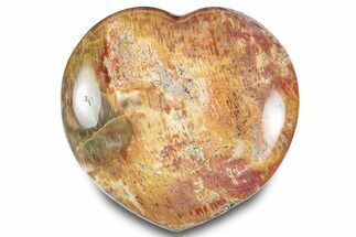 Polished Triassic Petrified Wood Heart - Madagascar #286171