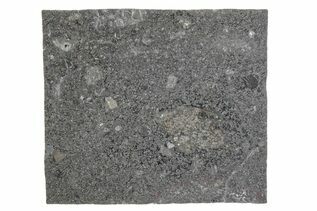 Mesosiderites For Sale