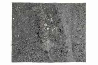 Mesosiderites For Sale