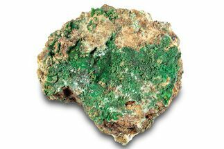 Striking Green Conichalcite Formation - Utah #284966