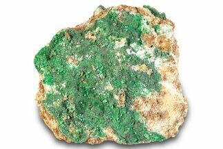 Striking Green Conichalcite Formation - Utah #284987