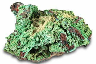 Striking Green Conichalcite on Chrysocolla - Namibia #285072