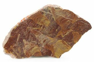 Polished Stromatolite From Russia - Million Years #286385