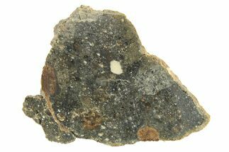 Polished Howardite Meteorite Section ( g) - Bechar #286954