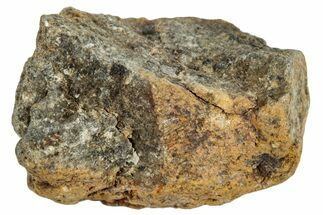 Howardite Meteorite ( g) - Bechar #286994