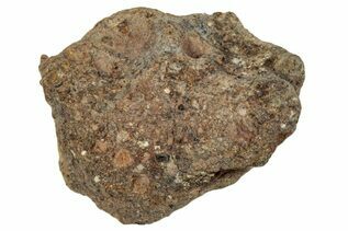 Howardite Meteorites For Sale