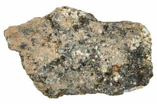 Howardite Meteorite ( g) - Bechar #287015