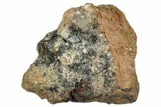 Howardite Meteorite ( g) - Bechar #287018