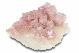 Pink Halite Crystal Cluster - Trona, California #286541