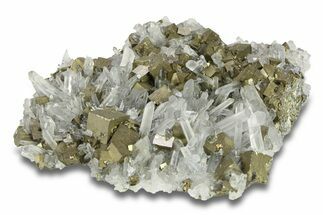 Gleaming Cubic Pyrite Crystals with Quartz - Peru #287606