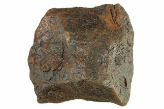 Canyon Diablo Iron Meteorite ( g) - Arizona #287634