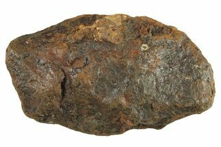 Canyon Diablo Iron Meteorite ( g) - Arizona #287636
